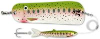 rainbow trout