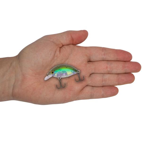 FAT Minnow SR