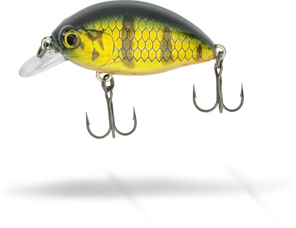 FAT Minnow SR