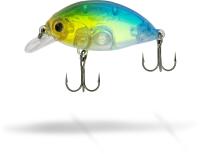 blue gill