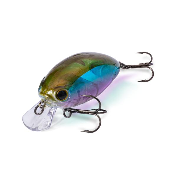 FAT Minnow SR