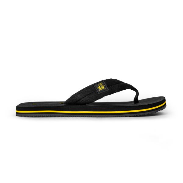 Flip-Flops